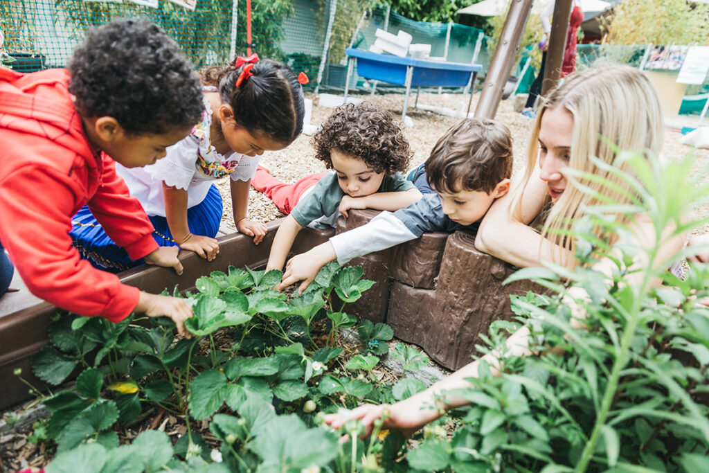 Learning To Appreciate Diversity Makes Our Community Stronger